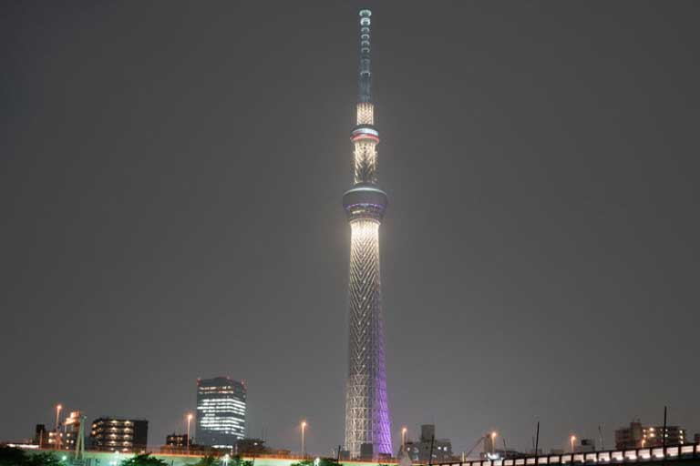 online travel consultant tokyo skytree